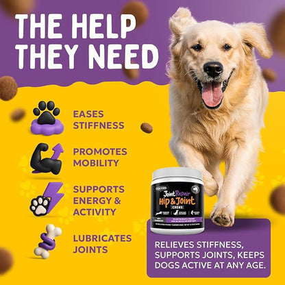 Joint Repair Hip and Joint Chews for Dogs - Finest For Pets Glucosamine, Chondroitin, MSM, Hemp, Omega 3 & Turmeric for Dog Joint Support, Mobility & Pain Relief - (120 Chicken Chews, Made in USA)