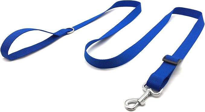 6FT Adjustable Dog Leash, Nylon Dog Leashes for Medium Large Dogs (Blue)