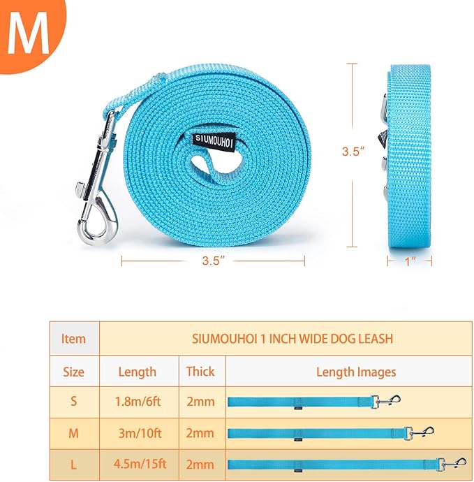 Siumouhoi Strong Durable Nylon Dog Training Leash, 1 Inch Wide Traction Rope, 10 ft Long, for Small and Medium Dog (Mint Blue, 10 Feet)