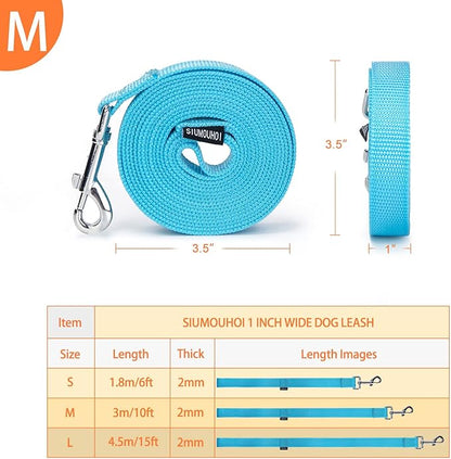 Siumouhoi Strong Durable Nylon Dog Training Leash, 1 Inch Wide Traction Rope, 10 ft Long, for Small and Medium Dog (Mint Blue, 10 Feet)