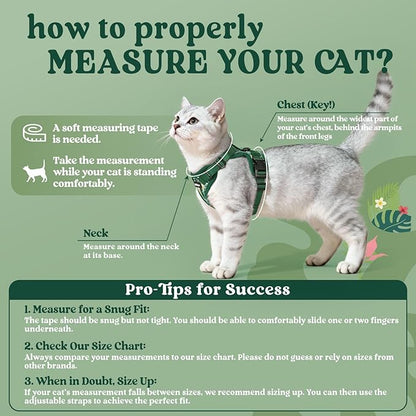 rabbitgoo Cat Harness and Leash for Walking, Escape Proof Soft Adjustable Vest Harnesses for Cats, Easy Control Breathable Reflective Strips Jacket,Rainforest Green,M