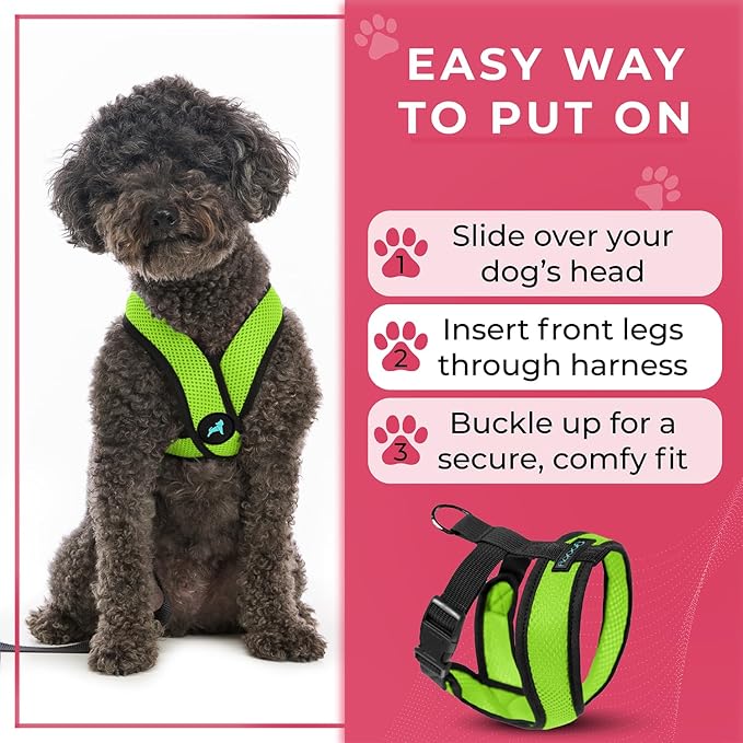Gooby Comfort X Head In Harness - Green, X-Large - No Pull Small Dog Harness, Patented Choke-Free X Frame - Perfect on the Go Dog Harness for Medium Dogs No Pull, Small Dogs for Indoor and Outdoor Use
