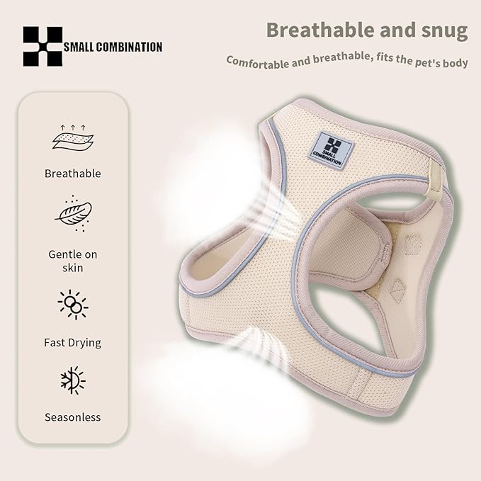 Adjustable Dog Harness with Leash, Reflective Mesh, No-Pull Design，Matching Lead Rope (Cream-Coloured, XXXS)