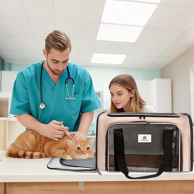 DSDCDJ Cat Carrier Dog Carrier - Soft-Sided Cat Carrier with Plush Pad & Cooling Mat, Easy-Load 4-Side Zipper & 3-Side Mesh Ventilation, Pet Carrier Airline Approved for Cats/Dogs Up to 20 lbs, Brown