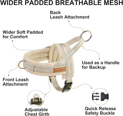 BEAUTYZOO Dog Harness for Small Dogs, No Pull Dog Harness and Leash Set, Soft Escape Proof Puppy Vest Harness with Handle, Reflective Lightweight Step in Harness for Girl Boy Dogs, Beige XS