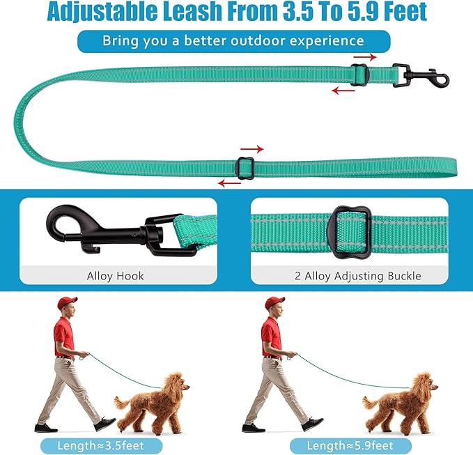 Martingale Dog Collar and Leash Set Martingale Collars for Dogs Reflective Martingale Collar for Small Medium Large Dogs(Mint Green&M)