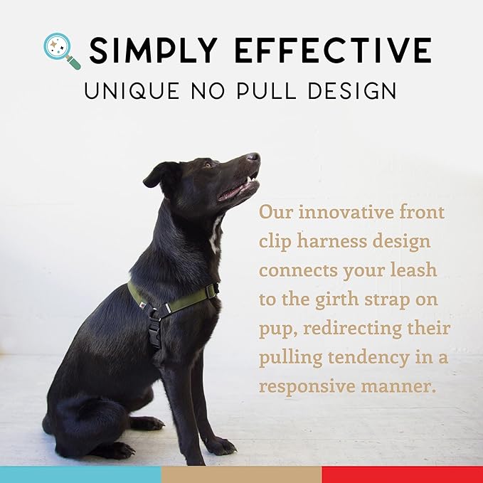 Wildebeest No Pull Dog Harness | Comfortable Training Harnesses | Effective No Pull Harness Design | Ideal for Small Dog and Puppy | 4-Point Adjustable (XS - 15~20 inch Girth, Olive)