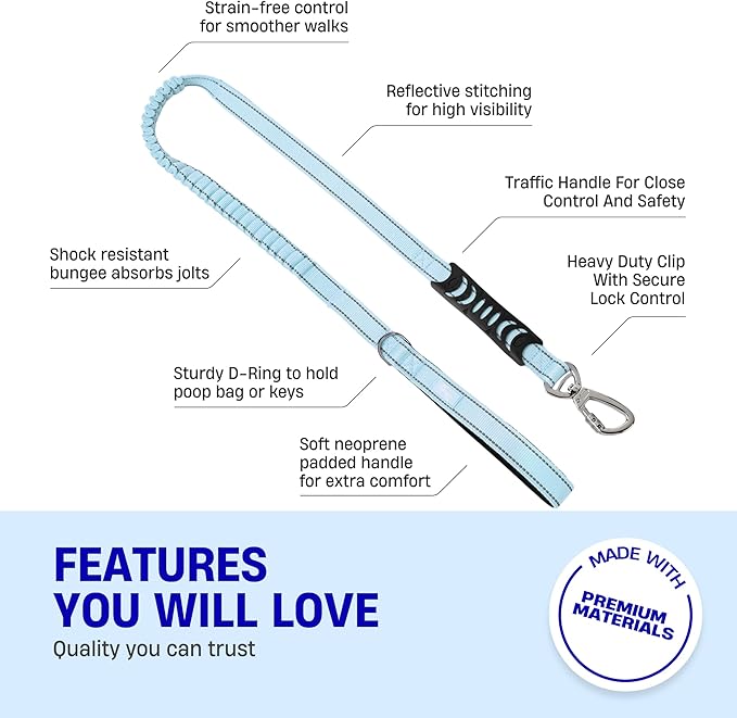 DF Co. Bungee Dog Leash | Strain Free & Shock Resistant for Control | Neoprene Padded Handle, Heavy-Duty Carabiner Clip, and D-Ring | Sky Blue, Size Small