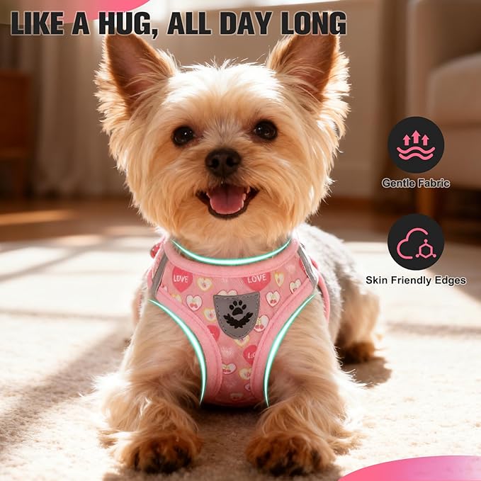 EXPAWLORER Small Dog Valentines Harness and Leash Set - Cute Puppy Harness Leash Dog Collar with AirTag Holder Silicone Case, Soft Padded Step in Pet Vest Reflective for Outdoor Walking, Heart M