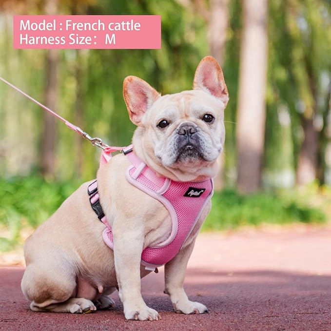 PUPTECK Small Dog Harness and Leash Set, No Pull Adjustable Puppy Cat Harness, Reflective Soft Mesh Pet Vest Small Sized, Pink, XS