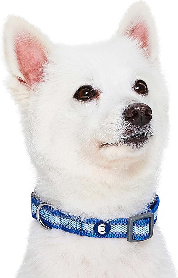 Blueberry Pet Medium Dog Collar in Reflective Navy Blue | Adjustable Classic Nylon Strap | Durable, Stylish & High-Visibility Dog Gear