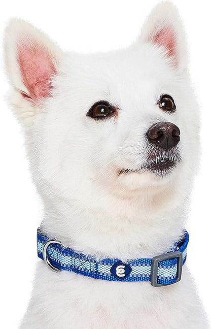 Blueberry Pet Small Dog Collar in Reflective Navy Blue | Adjustable Nylon Strap for Night Walking | Durable & Safe Puppy Training Collar