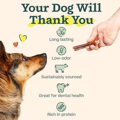 WOOF Bully Sticks Dog Treats - Chew Sticks for Dogs - Long-Lasting Dog Chew Treats - Made with Free-Range, Grass-Fed Beef - 6" Sticks - 10pk