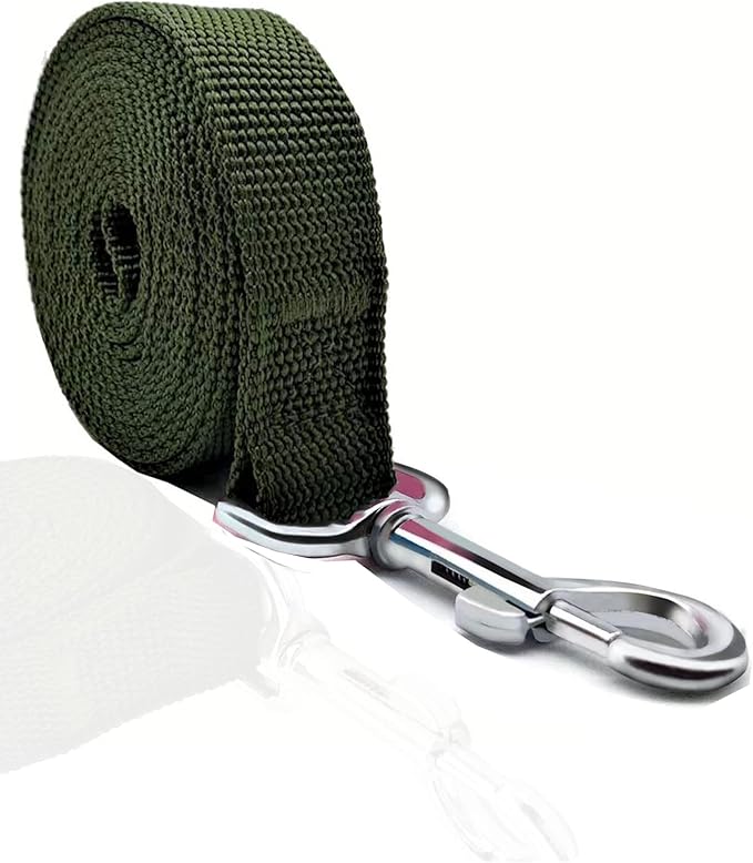 TAIAN 4FT/5FT/6FT Strong Dog Leash, Nylon Dog Leashes for Small Medium Large Dogs (1 in x 6 ft, Green)