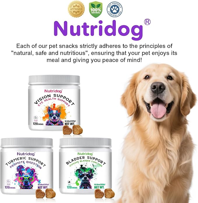 Turmeric Chews for Dogs with Curcumin & Coconut Oil Joint Pain Relief, Anti-Inflammatory Antioxidant Support, 120 Salmon-Flavored Soft Chews for Hip & Joint Mobility (120 Ct, Salmon)