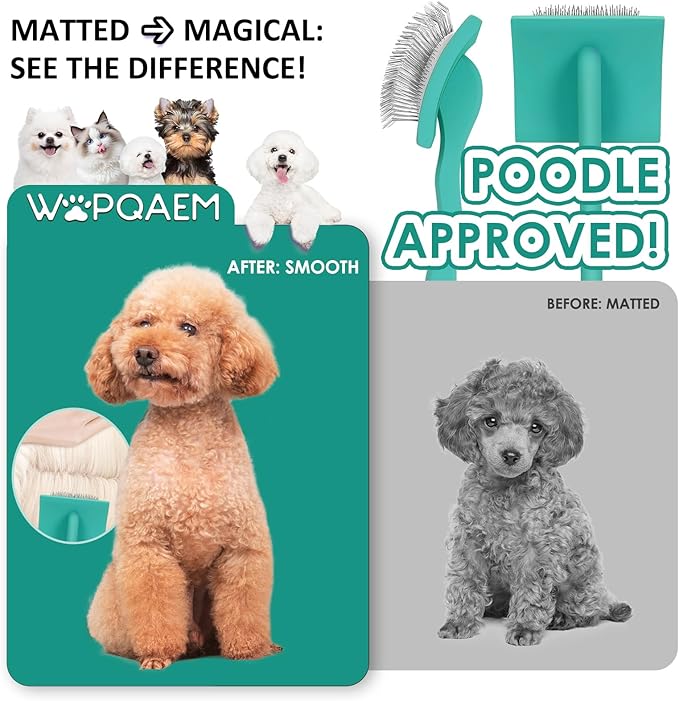Slicker Brush for Dogs, Large Dog Brush to Long Haired Dogs for Goldendoodles Poodles Doodles Bernedoodles, Long Pin Grooming Kits to Dematting & Reducing Tangles and Fluff, Green