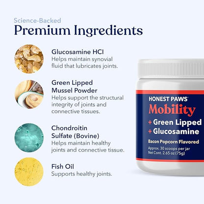 Honest Paws Glucosamine for Dogs – Joint & Mobility Supplement Powder with Green Lipped Mussel, Fish Oil & MSM – Supports Hip & Joint Health, Support Stiffness, Dog Supplies