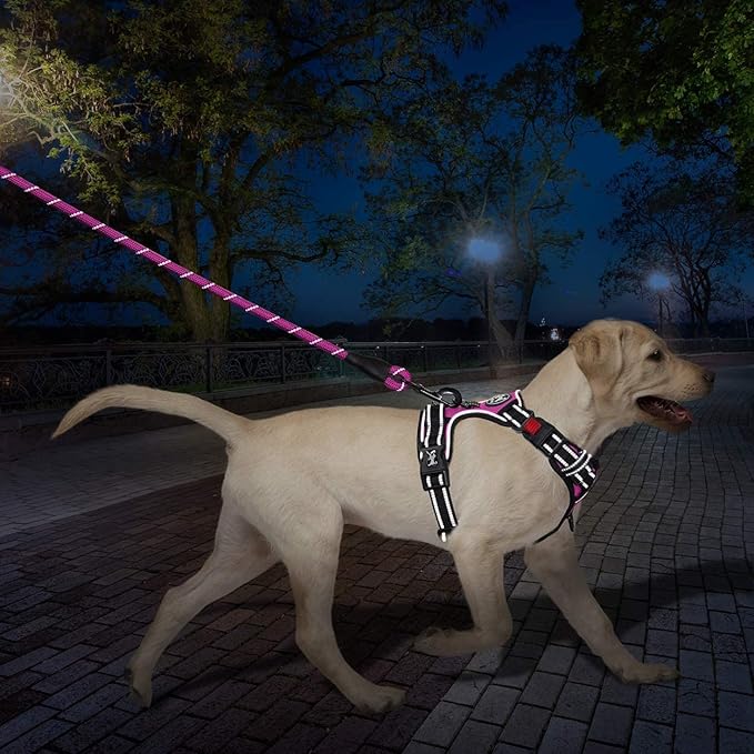 PoyPet Dog Harness and Leash Combo, Escape Proof No Pull Vest Harness, with 5 Feet Leash, Reflective Adjustable Soft Padded Pet Harness with Handle for Small to Large Dogs(Pink,L)
