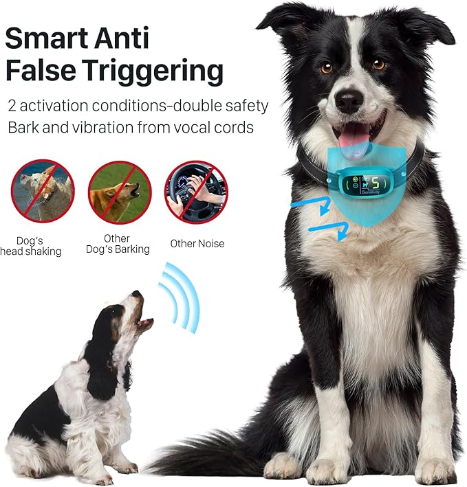 FAFAFROG Dog Bark Collar for Large Medium Small Dogs, Rechargeable Smart Bark Collar, Anti Barking Training Collar with 5 Adjustable Sensitivity Beep Vibration (Teal)