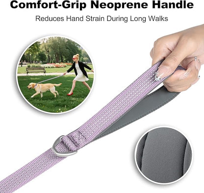 Plutus Pet Heavy Duty Dog Leash with Lockable Aluminum Carabiner, 4/6 Feet Long, Double-Sided Reflective Nylon, Padded Handle, for Puppy, Small, Medium and Large Dogs (Lilac Purple, 1" x 6')