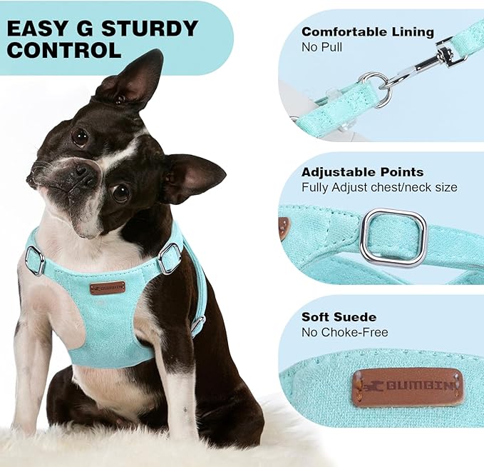 Dog Harness and Leash Set, XXS No Pull Adjustable Puppy Harness with Multifunction Pink Dog Leash and Dog Collar, Soft No Choke Escape Proof Pet Harness Vest for Small Dogs and Cats (Mint Green, XXS)