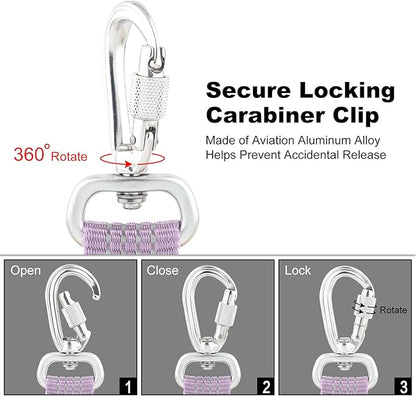 Plutus Pet Heavy Duty Dog Leash with Lockable Aluminum Carabiner, 4/6 Feet Long, Double-Sided Reflective Nylon, Padded Handle, for Puppy, Small, Medium and Large Dogs (Lilac Purple, 1" x 4')