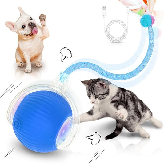 MAXTOOA Interactive Cat Toys for Indoor Cats Smart Automatic Ball Rolling for Bored Kitten Pet Upgraded Speedy Moving Chase Dogs Toy Blue Dragonfly