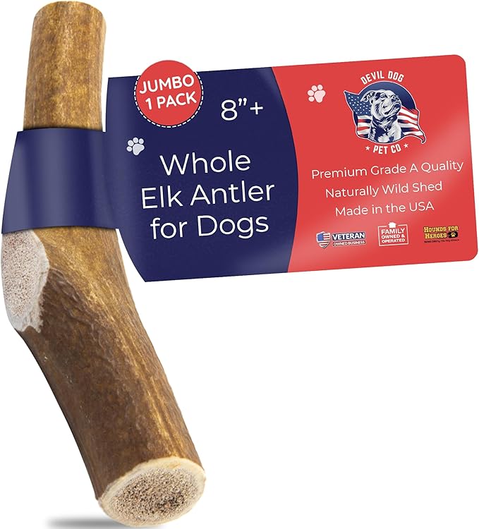 Devil Dog Pet Co. Elk Antlers for Dogs, Jumbo 8"+, 1 Pack, Grade A Long Lasting Chew for Aggressive Chewers, Premium USA Naturally Shed Antler – Healthy, No Odor, Durable Dog Chew