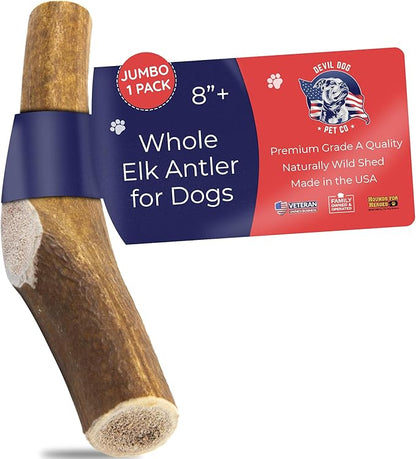 Devil Dog Pet Co. Elk Antlers for Dogs, Jumbo 8"+, 1 Pack, Grade A Long Lasting Chew for Aggressive Chewers, Premium USA Naturally Shed Antler – Healthy, No Odor, Durable Dog Chew