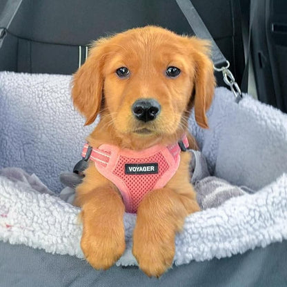 Best Pet Supplies Voyager Adjustable Step-in Flex Breathable Mesh Dog Harness for Small Medium Large Dogs Leash Set (Pink), L