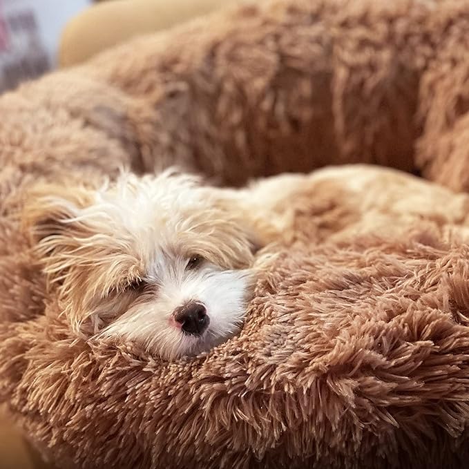 Calming Donut Dogs Beds for Small Dogs Washable,19inch Fluffy Round Puppy Bed for Puppies,Cats & Toy Breeds with Raised Rim,Fits up to 15 lbs Pets,Camel