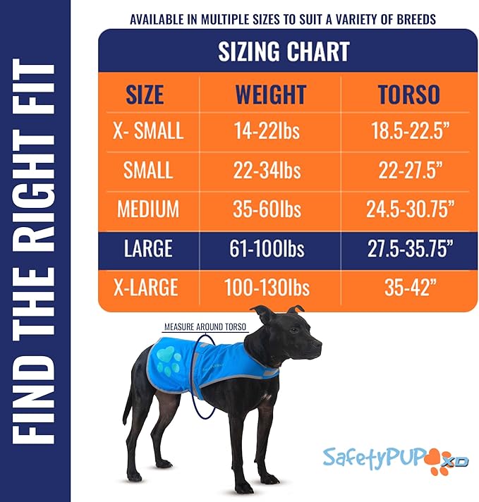 SafetyPUP XD Dog Reflective Vest – Hi-Vis Fluorescent Visibility That Helps to Safeguard Your Pet On/Off Leash in Urban & Rural Areas (Blue, Large)