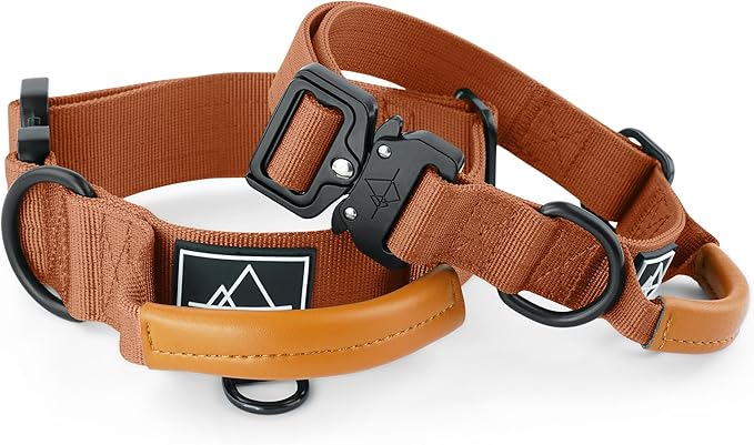 Made to ROAM Premium Explorer Control Collar - Adjustable Heavy Duty Nylon Dog Collar with Quick-Release Metal Buckle and Handle (Nevada Evening, Control Size 5)