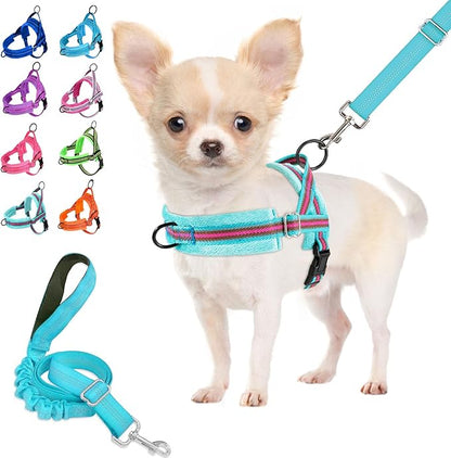 Lukovee No Pull Dog Harness and Leash Set, Soft Padded Small Dog Harness, Neck & Chest Adjustable Reflective Vest Puppy Harness with 4ft Lightweight Anti-Twist Dog Leash for Small Dogs (S, 01-LBL)