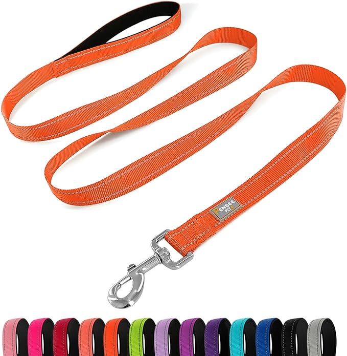 Reflective Dog Leash 6 FT Padded Handle Nylon Dogs Leashes for Small Dogs Orange