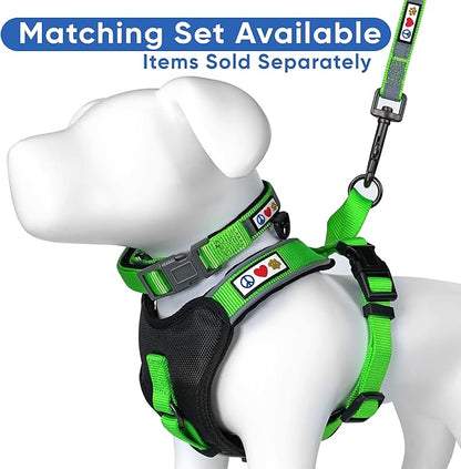 Pawtitas 6 FT Padded Dog Leash with Comfortable Neoprene Padding Handle - Green Lead | Medium Reflective Dog Leash with Highly Reflective Band Perfect for Medium and Large Dogs and Puppies.