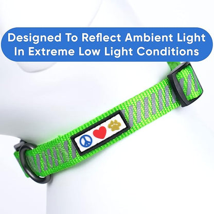 Pawtitas Reflective Dog Collar - Personalized Name & Phone Number, Adjustable for Small Dogs & Puppies, Green