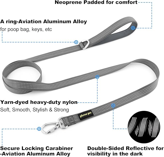 Plutus Pet Heavy Duty Dog Leash with Lockable Aluminum Carabiner, 4/6 Feet Long, Double-Sided Reflective Nylon, Padded Handle, for Puppy, Small, Medium and Large Dogs (Gray, 1" x 4')