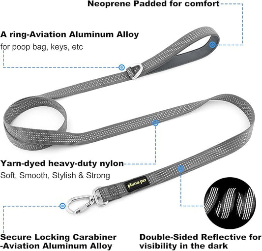 Plutus Pet Heavy Duty Dog Leash with Lockable Aluminum Carabiner, 4/6 Feet Long, Double-Sided Reflective Nylon, Padded Handle, for Puppy, Small, Medium and Large Dogs (Gray, 1" x 4')