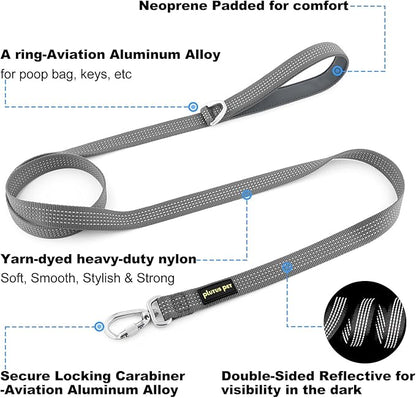 Plutus Pet Heavy Duty Dog Leash with Lockable Aluminum Carabiner, 4/6 Feet Long, Double-Sided Reflective Nylon, Padded Handle, for Puppy, Small, Medium and Large Dogs (Gray, 1" x 6')