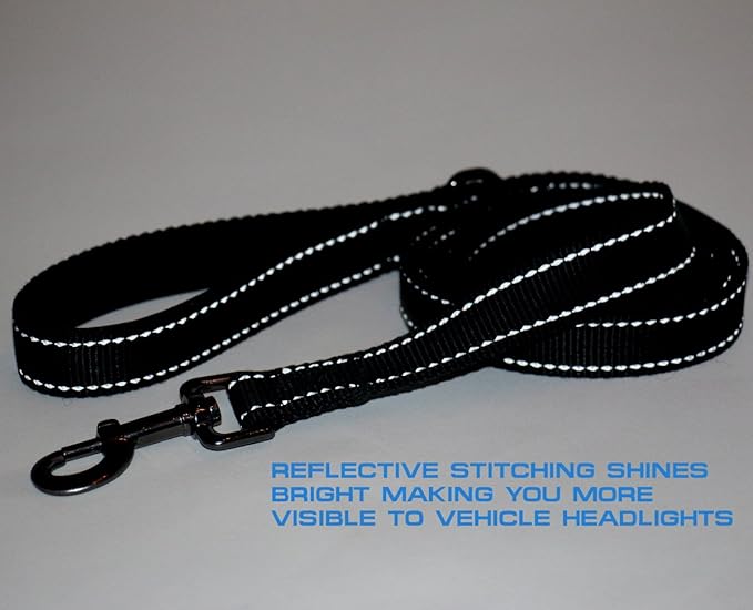 Max and Neo™ Double Handle Traffic Dog Leash Reflective - We Donate a Leash to a Dog Rescue for Every Leash Sold (Blue)