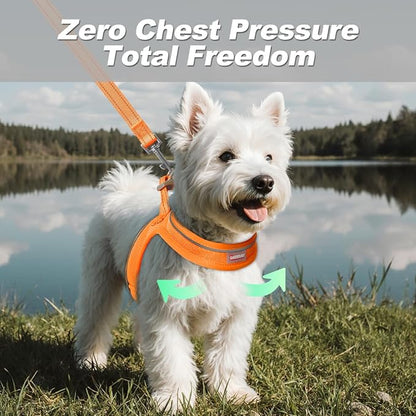 Dog Harness and Leash Set,Step in Small Sized Dog Harness,Soft Mesh,No-Chock,Reflective Adjustable,Secure with Hook & Loop Fastener,Puppy Vest for Small,Medium Dogs(Orange,M)