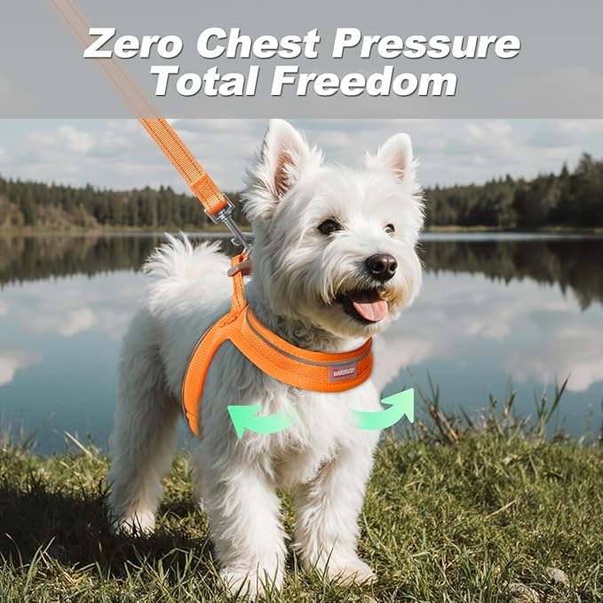 Dog Harness and Leash Set,Step in Small Sized Dog Harness,Soft Mesh,No-Chock,Reflective Adjustable,Secure with Hook & Loop Fastener,Puppy Vest for Small,Medium Dogs(Orange,XXXS)