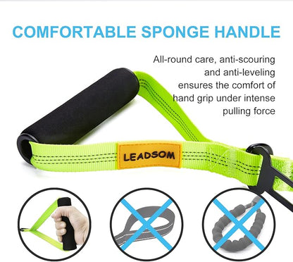 LEADSOM 6FT Highly Reflective Heavy Duty Elastic Bungee Medium and Large Dog Leash Shock Absorbing with Comfortable Padded Handle and Traffic Handle Suitable for Training
