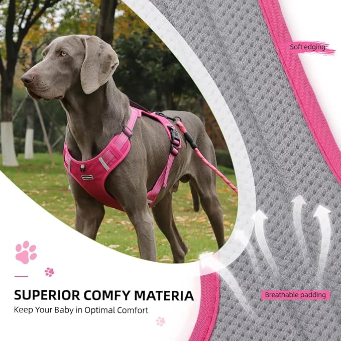 Dog Harness No Pull Adjustable Reflective,for Medium and Large Small Dog with Leash 59.06in (Fuscia, M)
