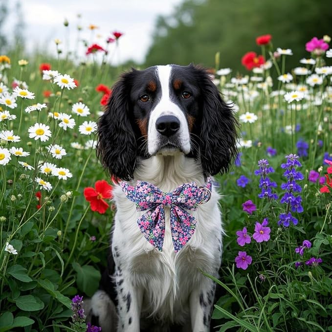 Lionet Paws Floral Dog Collar with Sailor Bow, Spring Wildflowers Daisy Fleabane Dog Collar Bow Tie for Puppies, XS, Neck 8-12 inches