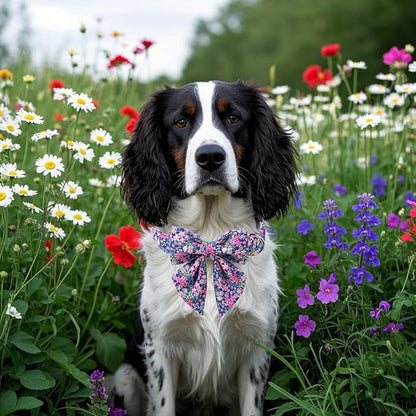 Lionet Paws Floral Dog Collar with Sailor Bow, Spring Wildflowers Daisy Fleabane Dog Collar Bow Tie for X-Large Dogs, Neck 16-26 inches