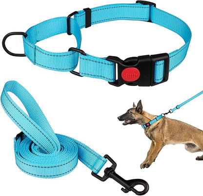 Martingale Dog Collar and Leash Set Martingale Collars for Dogs Reflective Martingale Collar for Small Medium Large Dogs(Sky Blue&L)