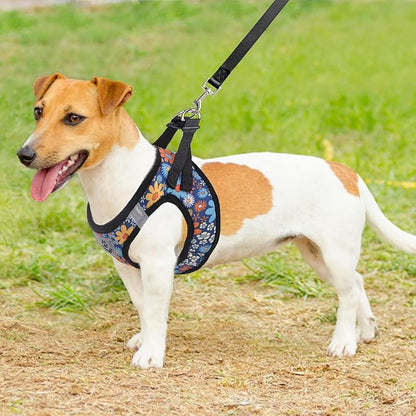 KOOLTAIL Dog Harness and Leash Set for Small Medium Dogs, Step in No Pull Comfort Padded Pet Vest, Adjustable Reflective Easy Walking Puppy Cats Harness Training, Flower Navy M