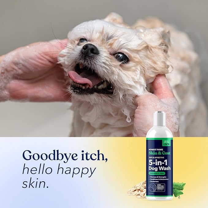 Honest Paws Dog Shampoo and Conditioner - Premium Dog Wash for Allergies and Dry, Itchy, Moisturizing for Sensitive Skin - Sulfate Free, Plant Based, All Natural - Oatmeal & Aloe -16 Fl Oz